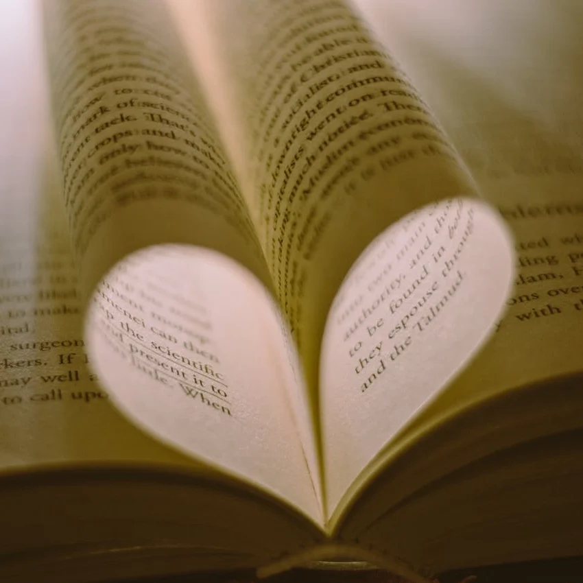 pexels-ravikant-2877338